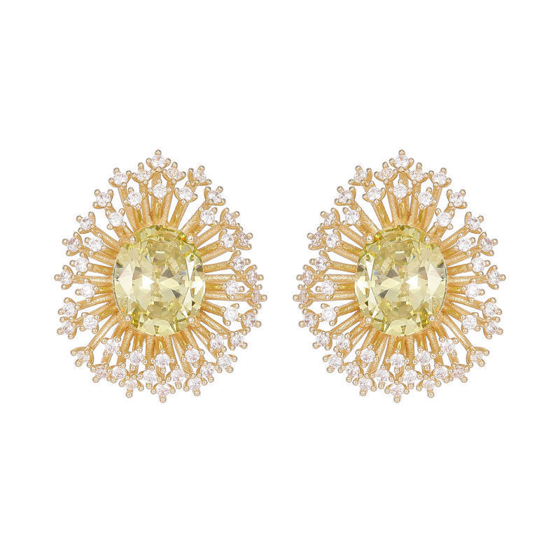 Sterling Silver Needle Light Luxury High-grade Luxury Blooming Fireworks Earrings Brand: aeac